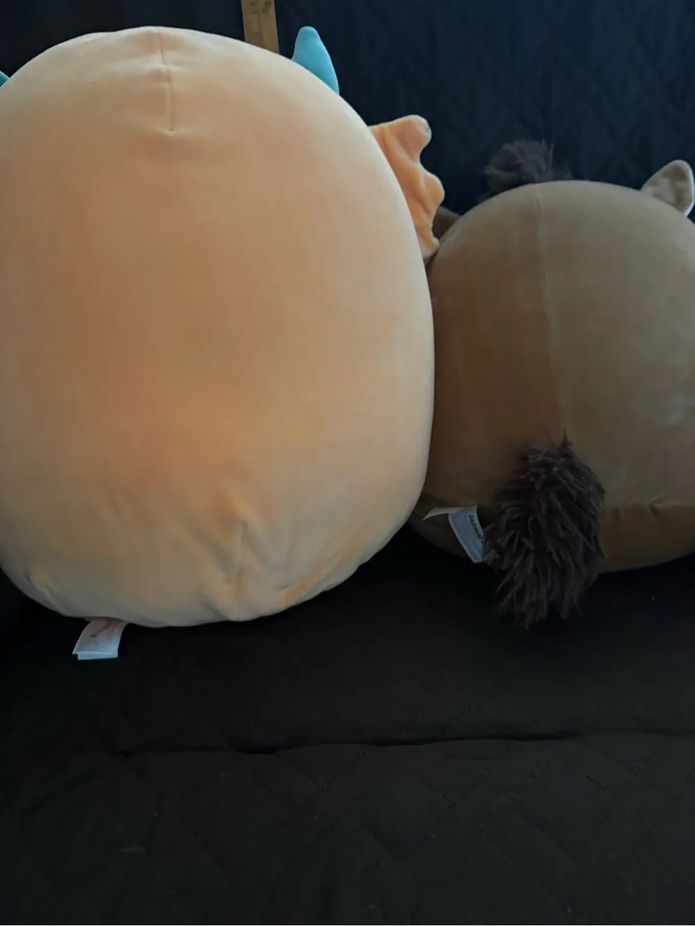 Squishmallows Orange Turquoise Gray Brown Plush Trio